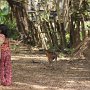 Confidences_d_enfants_1402