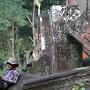Temple_au_repos_1721